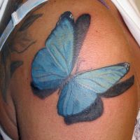 Schmetterling tattoo - Flashback Tattoo Studio Friedrichshain Berlin