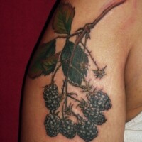 fruit tattoo berlin,colourr,realistic - Forevereva Tattoo Studio Friedrichshain Berlin