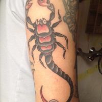 skorpion tätowierung - Flashback Tattoo Studio Friedrichshain Berlin