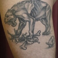 tattoo berlin ,tiger ,black and grey - Forevereva Tattoo Studio Friedrichshain Berlin