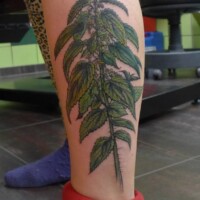  - Forevereva Tattoo Studio Friedrichshain Berlin